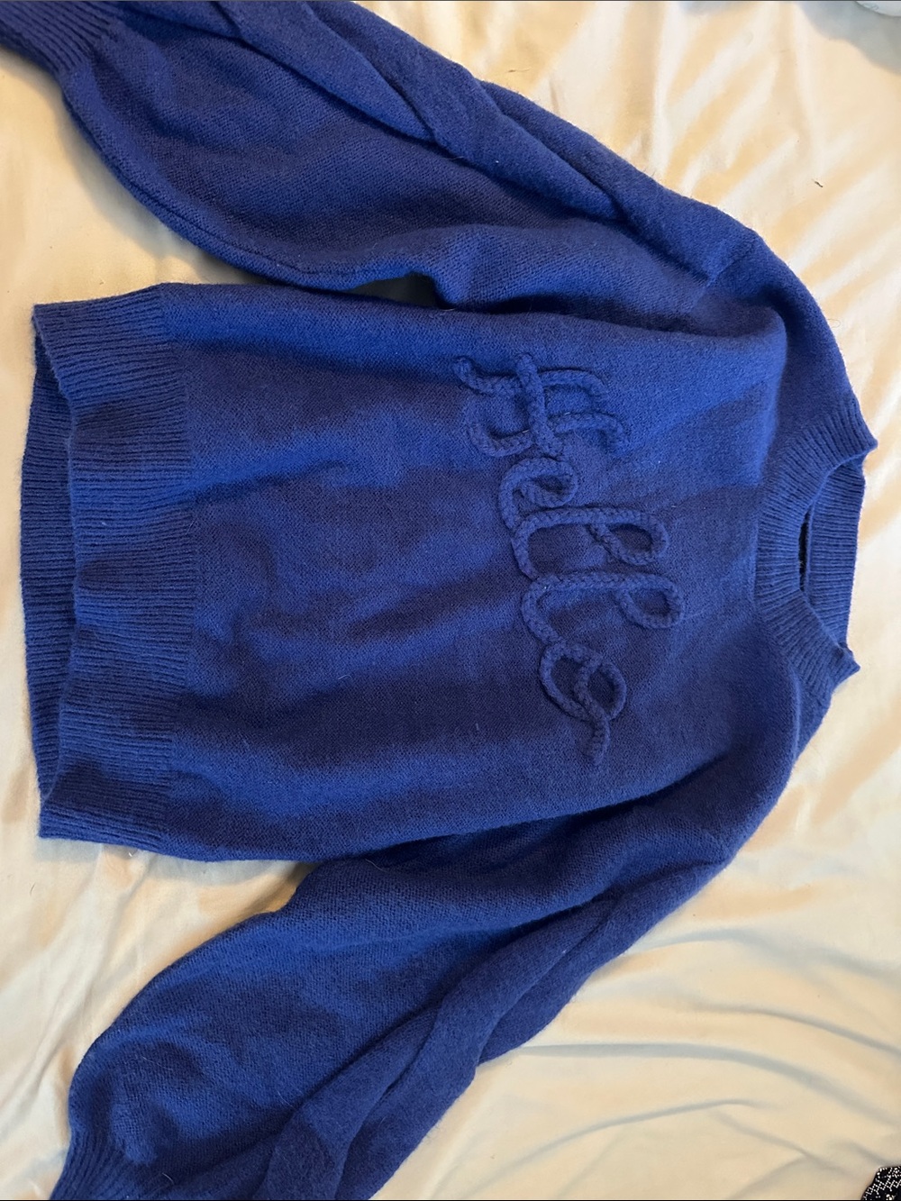 Blue Script-Logo Crewneck Sweater - Unbranded